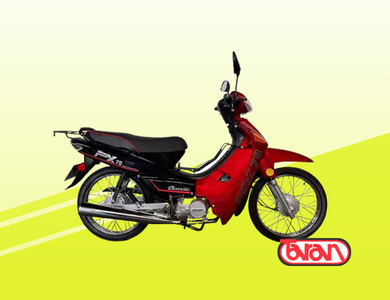MOTO POLLERITA BACCIO PX70 AUTOMÁTICA