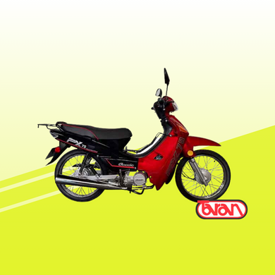 MOTO POLLERITA BACCIO PX70 AUTOMÁTICA