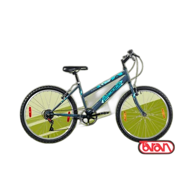Bicicletas